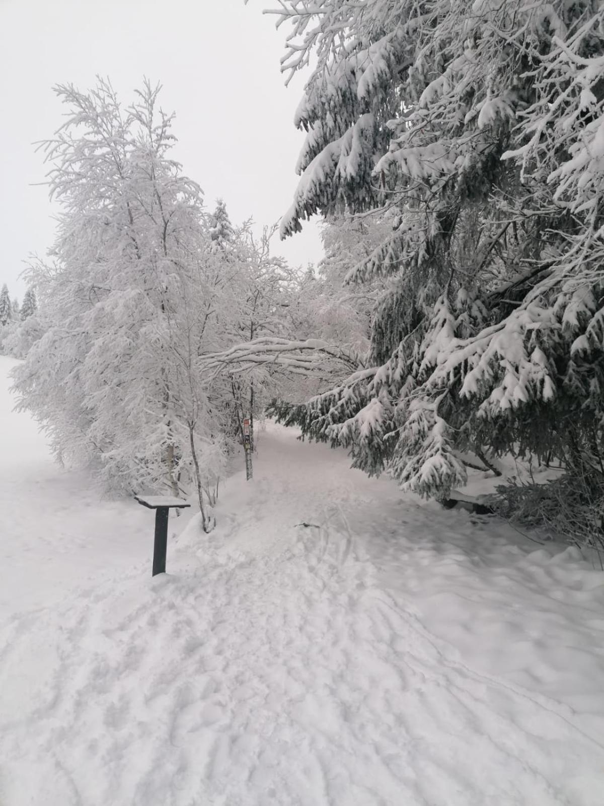 Ferienwohnung Mia Вінтерберг Номер фото